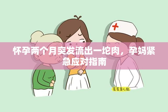 懷孕兩個(gè)月突發(fā)流出一坨肉，孕媽緊急應(yīng)對(duì)指南