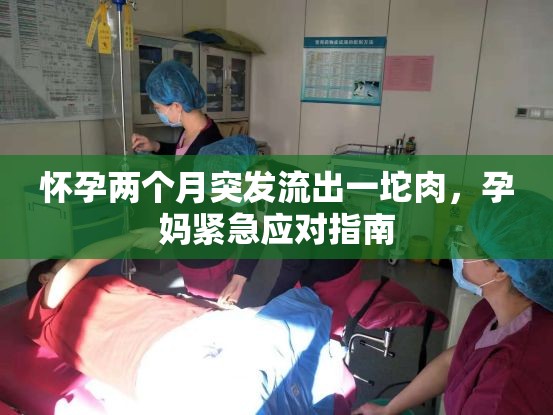懷孕兩個(gè)月突發(fā)流出一坨肉，孕媽緊急應(yīng)對(duì)指南