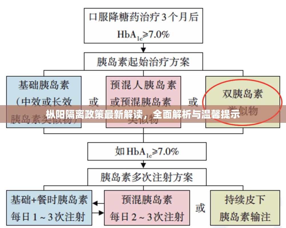 樅陽(yáng)隔離政策最新解讀，全面解析與溫馨提示
