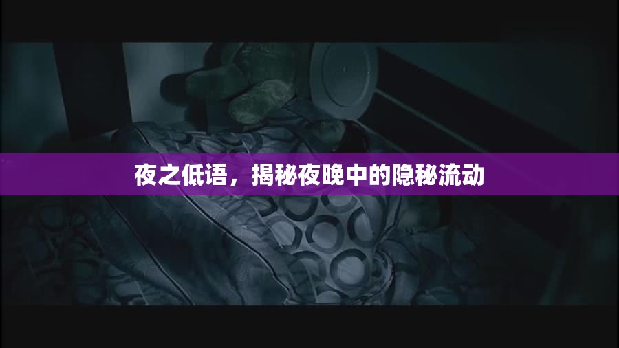 夜之低語(yǔ)，揭秘夜晚中的隱秘流動(dòng)