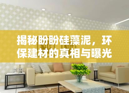 揭秘盼盼硅藻泥，環(huán)保建材的真相與曝光