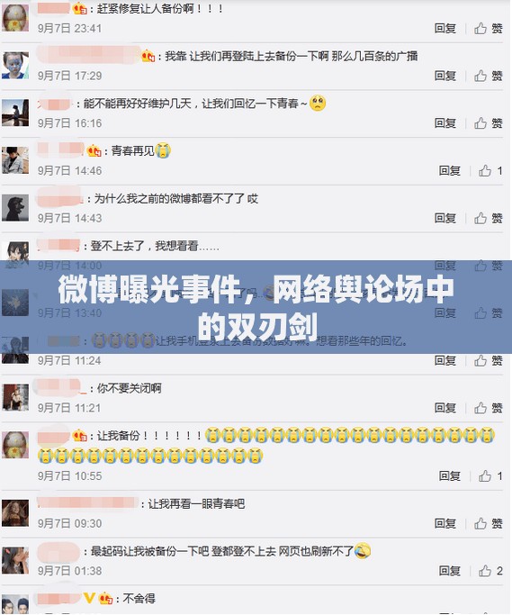 微博曝光事件，網(wǎng)絡輿論場中的雙刃劍