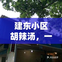 建東小區(qū)胡辣湯，一碗傳奇美食的揭秘之旅