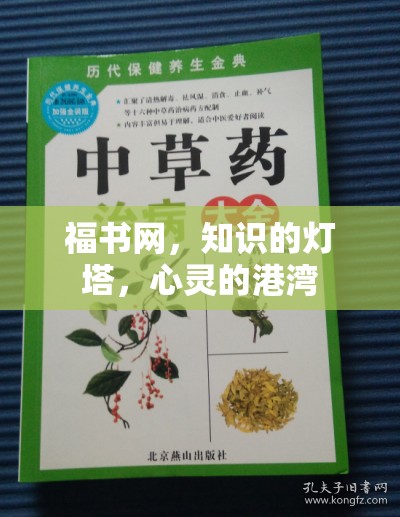 福書網(wǎng)，知識的燈塔，心靈的港灣
