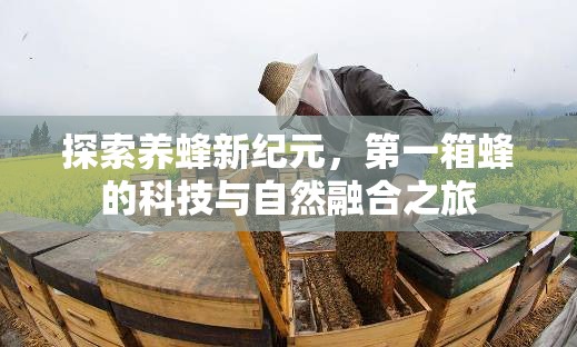 探索養(yǎng)蜂新紀(jì)元，第一箱蜂的科技與自然融合之旅