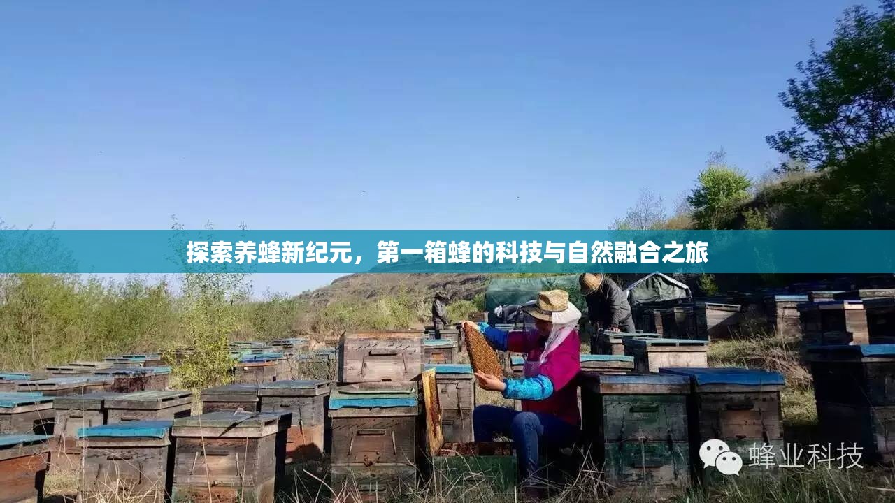 探索養(yǎng)蜂新紀(jì)元，第一箱蜂的科技與自然融合之旅