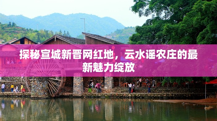 探秘宣城新晉網(wǎng)紅地，云水謠農(nóng)莊的最新魅力綻放