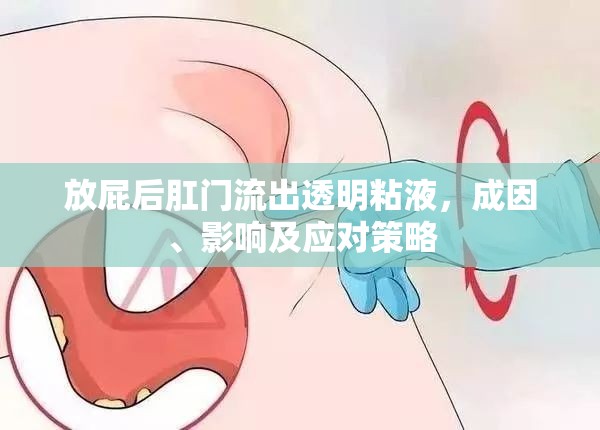 放屁后肛門(mén)流出透明粘液，成因、影響及應(yīng)對(duì)策略
