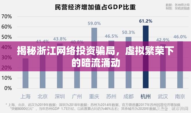 揭秘浙江網(wǎng)絡(luò)投資騙局，虛擬繁榮下的暗流涌動(dòng)