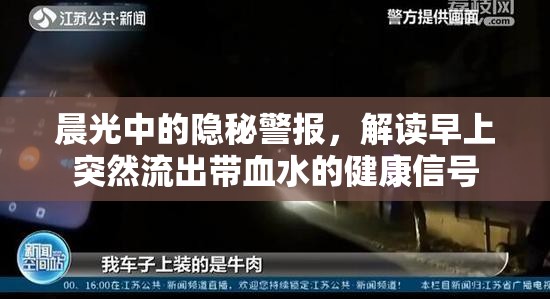 晨光中的隱秘警報(bào)，解讀早上突然流出帶血水的健康信號