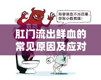 肛門流出鮮血的常見原因及應(yīng)對(duì)措施