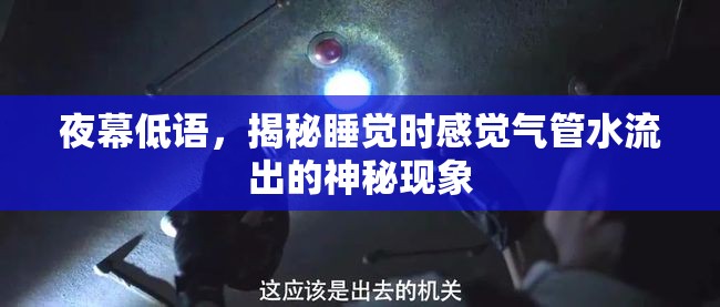 夜幕低語，揭秘睡覺時感覺氣管水流出的神秘現(xiàn)象