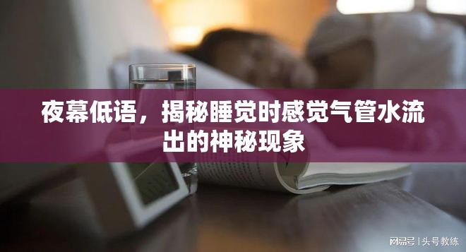 夜幕低語，揭秘睡覺時感覺氣管水流出的神秘現(xiàn)象