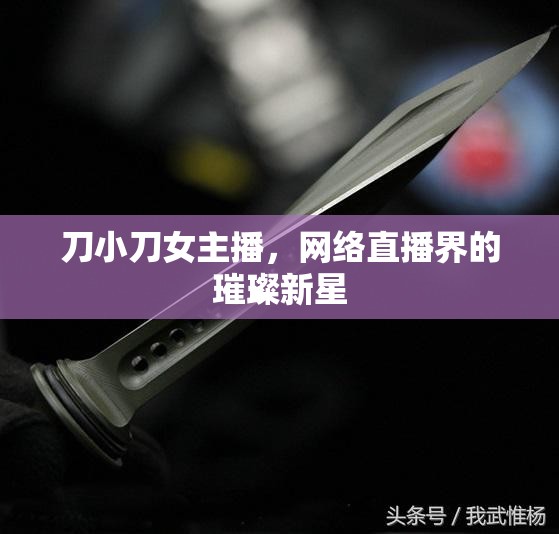 刀小刀女主播，網(wǎng)絡(luò)直播界的璀璨新星