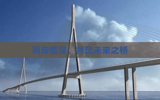 兩岸情深，共筑未來(lái)之橋