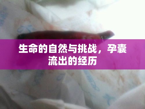 生命的自然與挑戰(zhàn)，孕囊流出的經(jīng)歷