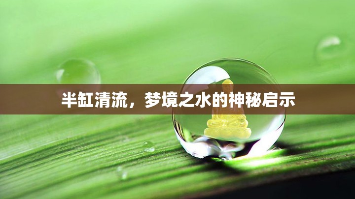 半缸清流，夢境之水的神秘啟示
