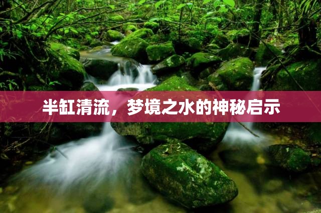 半缸清流，夢境之水的神秘啟示