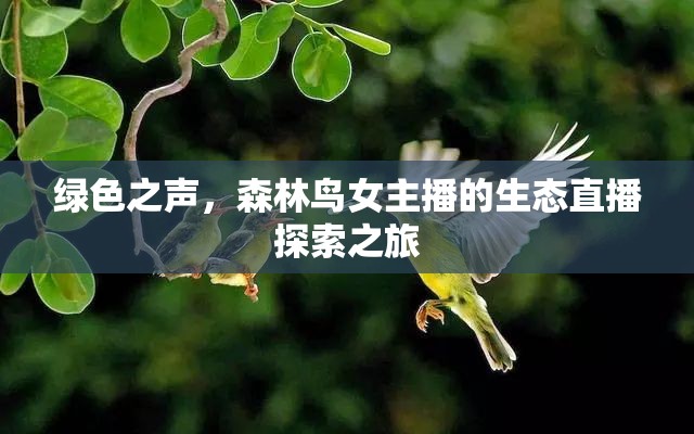綠色之聲，森林鳥女主播的生態(tài)直播探索之旅