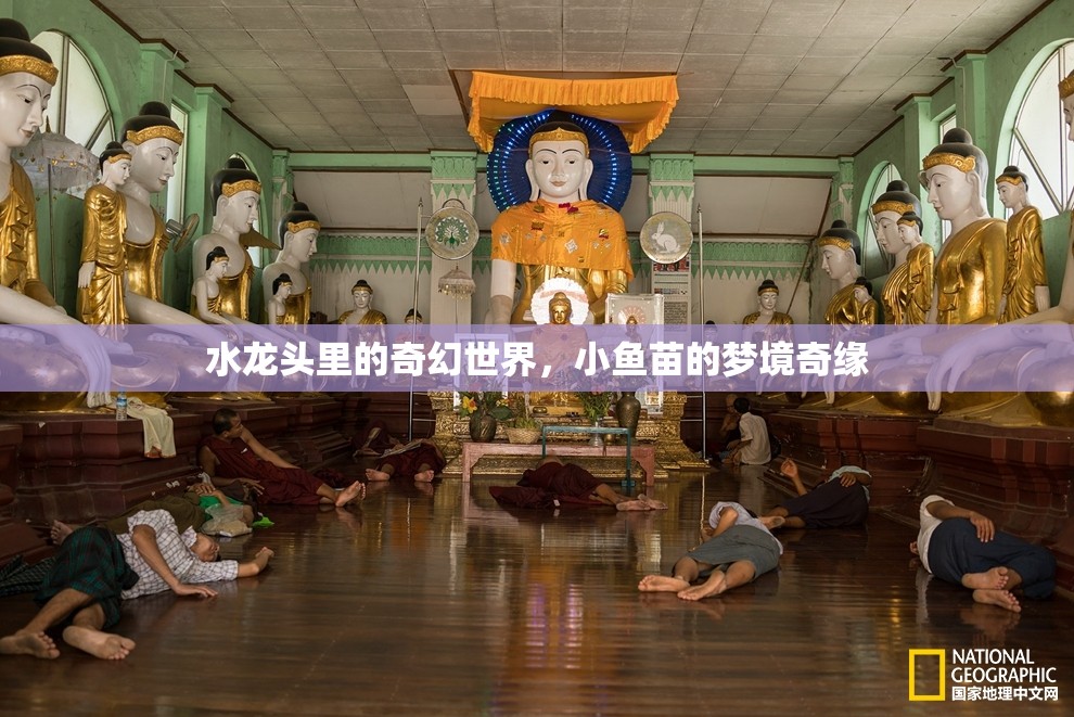 水龍頭里的奇幻世界，小魚(yú)苗的夢(mèng)境奇緣