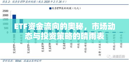 ETF資金流向的奧秘，市場(chǎng)動(dòng)態(tài)與投資策略的晴雨表