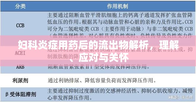 婦科炎癥用藥后的流出物解析，理解、應(yīng)對(duì)與關(guān)懷