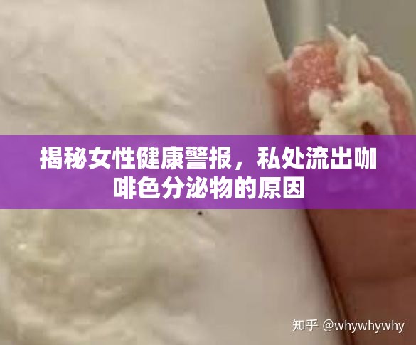 揭秘女性健康警報，私處流出咖啡色分泌物的原因