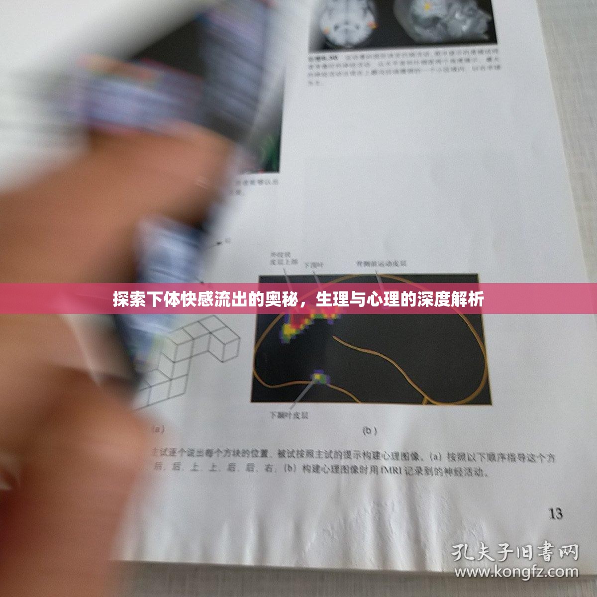 探索下體快感流出的奧秘，生理與心理的深度解析
