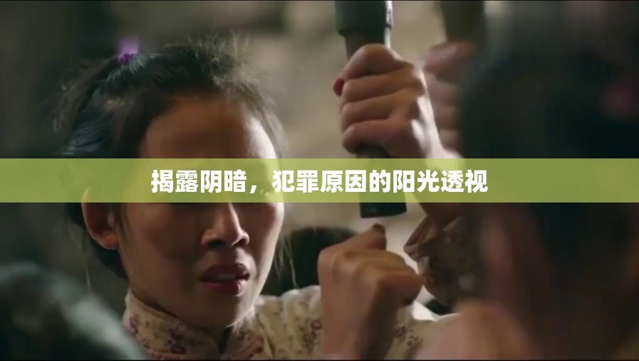 揭露陰暗，犯罪原因的陽光透視