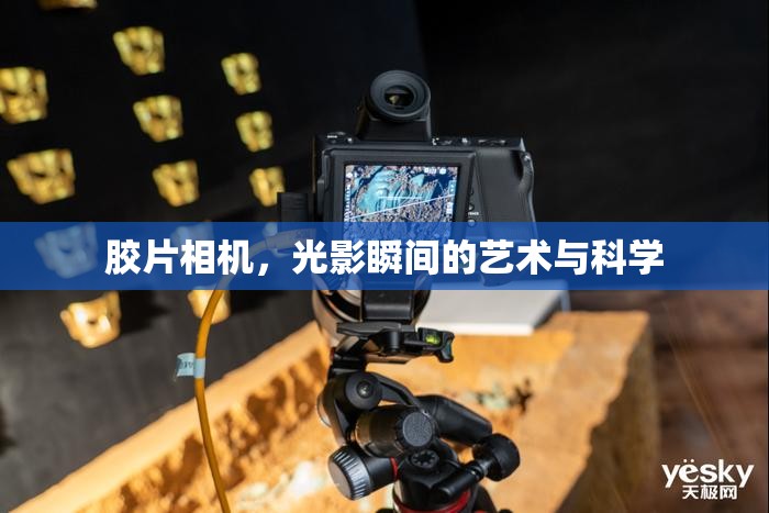 膠片相機(jī)，光影瞬間的藝術(shù)與科學(xué)