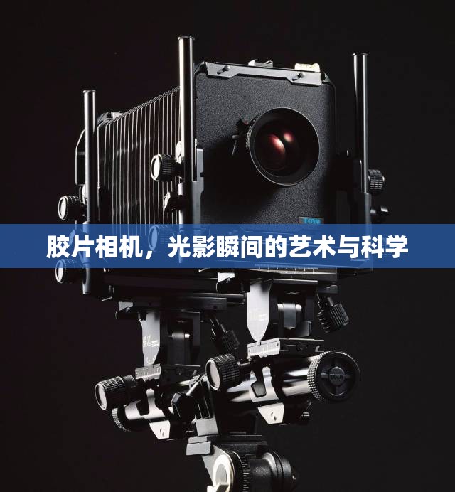 膠片相機(jī)，光影瞬間的藝術(shù)與科學(xué)