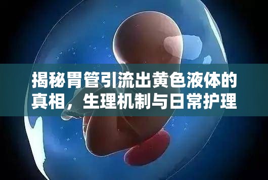 揭秘胃管引流出黃色液體的真相，生理機制與日常護(hù)理的全面解析