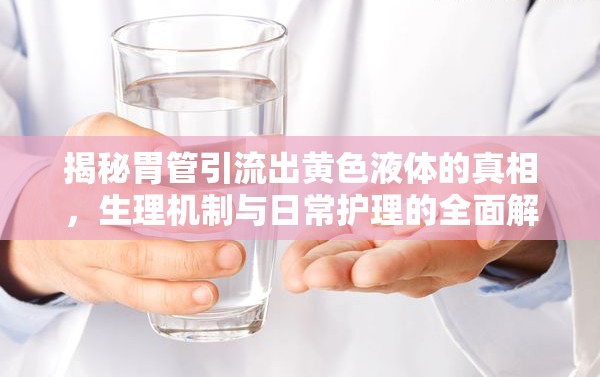 揭秘胃管引流出黃色液體的真相，生理機制與日常護(hù)理的全面解析