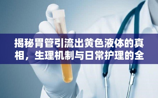 揭秘胃管引流出黃色液體的真相，生理機制與日常護(hù)理的全面解析