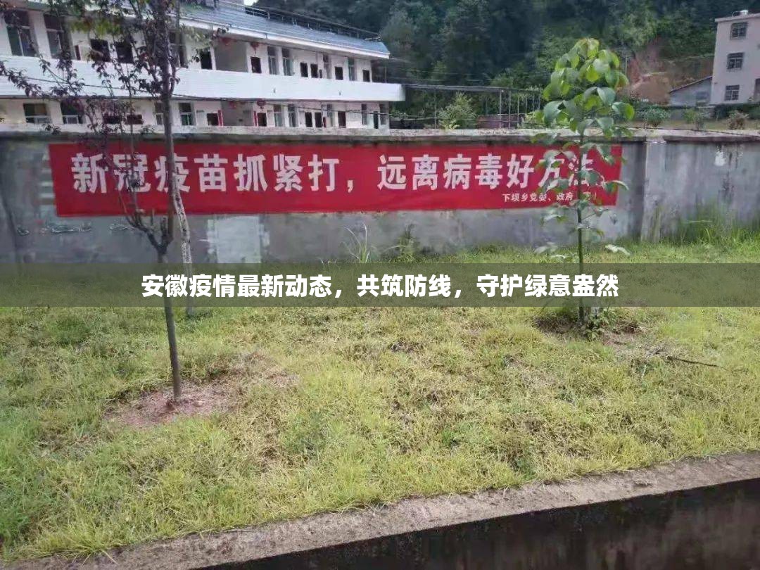 安徽疫情最新動態(tài)，共筑防線，守護(hù)綠意盎然