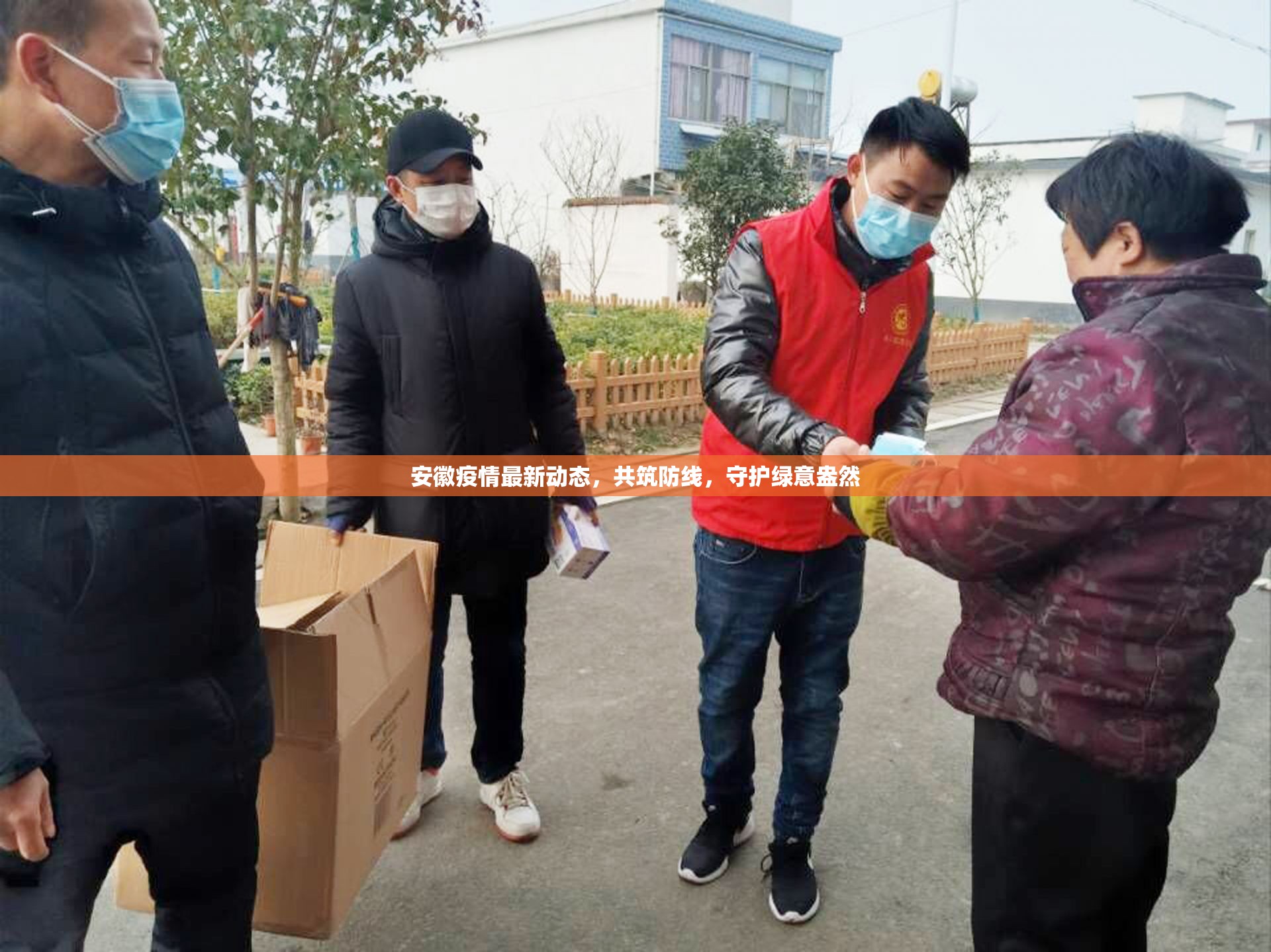 安徽疫情最新動態(tài)，共筑防線，守護(hù)綠意盎然