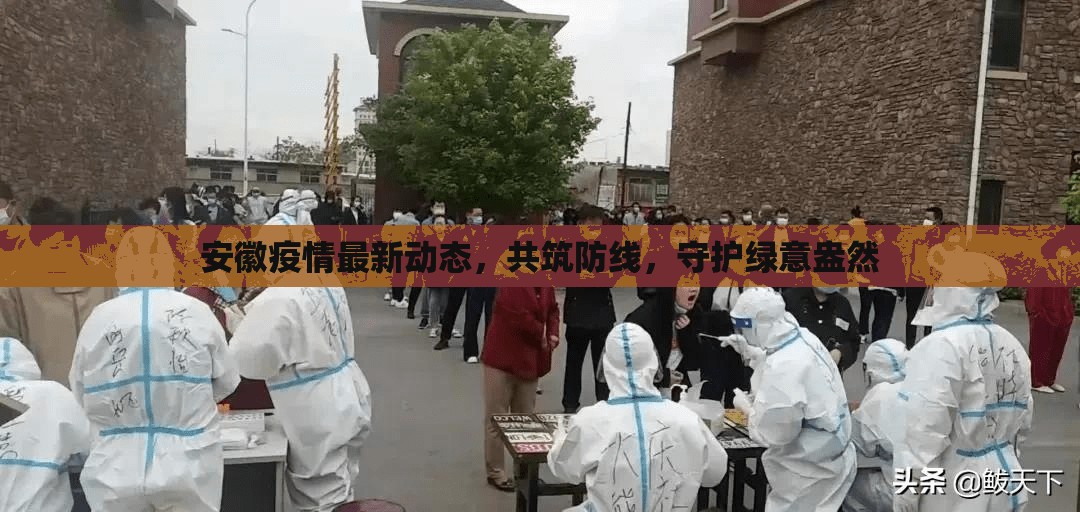 安徽疫情最新動態(tài)，共筑防線，守護(hù)綠意盎然