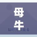 母牛產(chǎn)前豆腐渣現(xiàn)象，健康預(yù)警與科學(xué)管理