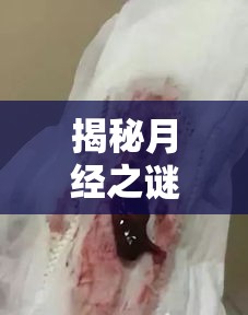 揭秘月經(jīng)之謎，爛肉組織的真相與誤解