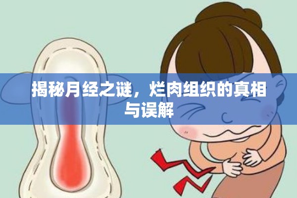 揭秘月經(jīng)之謎，爛肉組織的真相與誤解