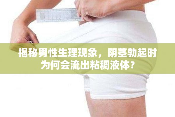 揭秘男性生理現(xiàn)象，陰莖勃起時為何會流出粘稠液體？