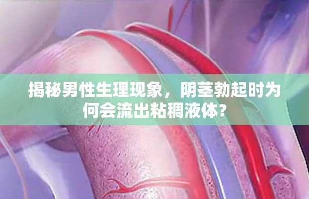 揭秘男性生理現(xiàn)象，陰莖勃起時為何會流出粘稠液體？