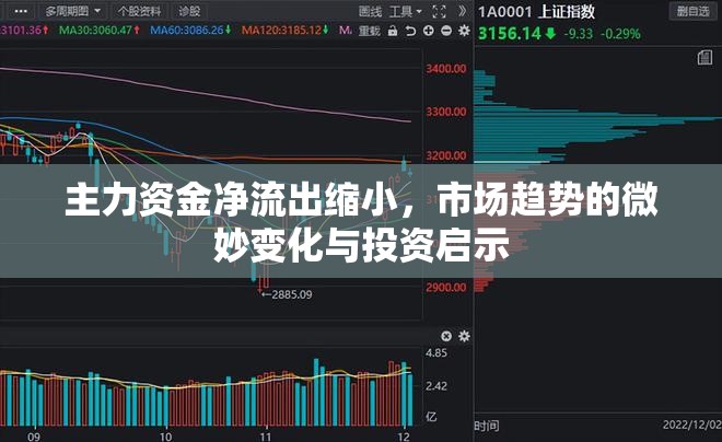 主力資金凈流出縮小，市場趨勢的微妙變化與投資啟示