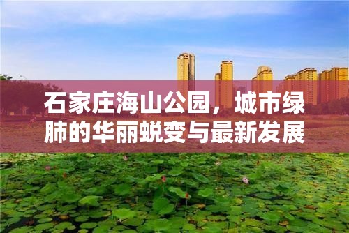 石家莊海山公園，城市綠肺的華麗蛻變與最新發(fā)展動態(tài)