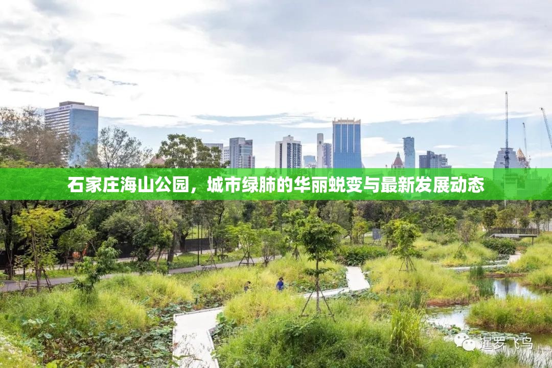 石家莊海山公園，城市綠肺的華麗蛻變與最新發(fā)展動態(tài)