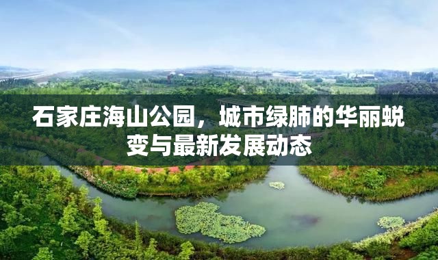 石家莊海山公園，城市綠肺的華麗蛻變與最新發(fā)展動態(tài)
