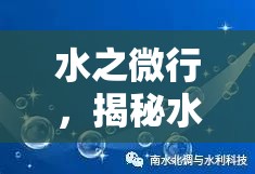 水之微行，揭秘水能通過(guò)多微小的孔隙