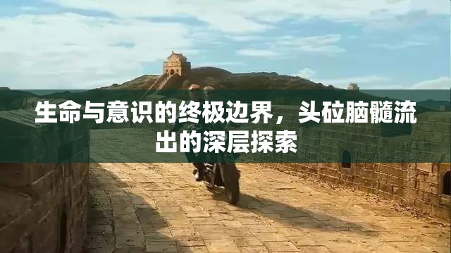 生命與意識的終極邊界，頭砬腦髓流出的深層探索