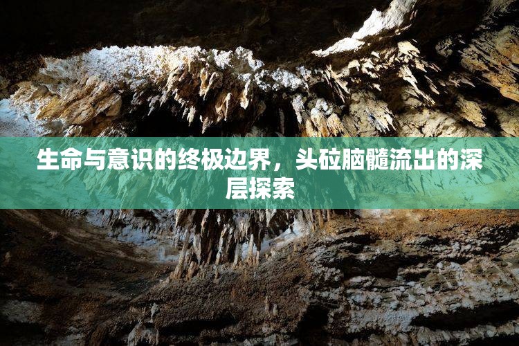 生命與意識的終極邊界，頭砬腦髓流出的深層探索