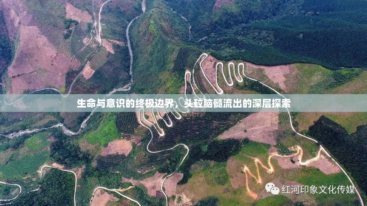 生命與意識的終極邊界，頭砬腦髓流出的深層探索